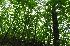 ( - FRC20686)  @11 [ ] CreativeCommons - Attribution Non-Commercial Share-Alike (2017) Carlo L. Seifert Institute of Entomology, Biology Centre CAS, Ceske Budejovice