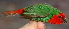  ( - NC052-EP)  @14 [ ] Unspecified (default): All Rights Reserved  No Rights Reserved Unspecified