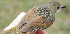  ( - NC074-EP)  @13 [ ] Unspecified (default): All Rights Reserved  No Rights Reserved Unspecified