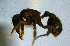  (Octostruma ACZ5718 - RDT0149_134)  @12 [ ] CreativeCommons - Attribution (2016) David A. Donoso Universidad de Cuenca