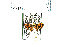  ( - USNM ENT 00204208)  @12 [ ] Unspecified (default): All Rights Reserved  Unspecified Unspecified