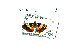  ( - USNM ENT 00703053)  @12 [ ] Unspecified (default): All Rights Reserved  Unspecified Unspecified