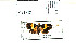  ( - USNM ENT 00703055)  @12 [ ] Unspecified (default): All Rights Reserved  Unspecified Unspecified