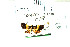  ( - USNM ENT 00703056)  @12 [ ] Unspecified (default): All Rights Reserved  Unspecified Unspecified