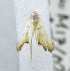 ( - USNM ENT 00721054)  @11 [ ] Unspecified (default): All Rights Reserved  Unspecified Unspecified