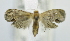  ( - USNM ENT 00721934)  @12 [ ] Unspecified (default): All Rights Reserved  Unspecified Unspecified