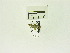  ( - USNM ENT 00660633)  @12 [ ] Unspecified (default): All Rights Reserved  Unspecified Unspecified