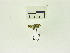  ( - USNM ENT 00660637)  @12 [ ] Unspecified (default): All Rights Reserved  Unspecified Unspecified