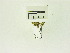 ( - USNM ENT 00660645)  @12 [ ] Unspecified (default): All Rights Reserved  Unspecified Unspecified