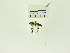  ( - USNM ENT 00660772)  @12 [ ] Unspecified (default): All Rights Reserved  Unspecified Unspecified