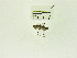  (Dichomeris sp. ABZ4037 - USNM ENT 00660788)  @12 [ ] Unspecified (default): All Rights Reserved  Unspecified Unspecified