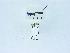  ( - USNM ENT 00666567)  @12 [ ] Unspecified (default): All Rights Reserved  Unspecified Unspecified