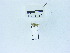  ( - USNM ENT 00666577)  @12 [ ] Unspecified (default): All Rights Reserved  Unspecified Unspecified