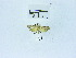  ( - USNM ENT 00667725)  @12 [ ] Unspecified (default): All Rights Reserved  Unspecified Unspecified