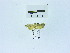  ( - USNM ENT 00667768)  @13 [ ] Unspecified (default): All Rights Reserved  Unspecified Unspecified