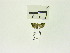  ( - USNM ENT 00667777)  @12 [ ] Unspecified (default): All Rights Reserved  Unspecified Unspecified