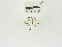  ( - USNM ENT 00667780)  @12 [ ] Unspecified (default): All Rights Reserved  Unspecified Unspecified