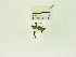  ( - USNM ENT 00667803)  @12 [ ] Unspecified (default): All Rights Reserved  Unspecified Unspecified