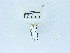  ( - USNM ENT 00668046)  @12 [ ] Unspecified (default): All Rights Reserved  Unspecified Unspecified