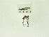  ( - USNM ENT 00703049)  @12 [ ] Unspecified (default): All Rights Reserved  Unspecified Unspecified