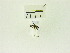  ( - USNM ENT 00703051)  @12 [ ] Unspecified (default): All Rights Reserved  Unspecified Unspecified
