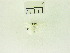  ( - USNM ENT 00506669a)  @11 [ ] Unspecified (default): All Rights Reserved  Unspecified Unspecified