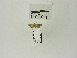  ( - USNM ENT 00662060)  @12 [ ] Unspecified (default): All Rights Reserved  Unspecified Unspecified