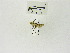  ( - USNM ENT 00662064)  @12 [ ] Unspecified (default): All Rights Reserved  Unspecified Unspecified