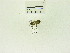  ( - USNM ENT 00664994)  @12 [ ] Unspecified (default): All Rights Reserved  Unspecified Unspecified