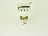  ( - USNM ENT 00669389)  @12 [ ] Unspecified (default): All Rights Reserved  Unspecified Unspecified