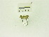  ( - USNM ENT 00669390)  @12 [ ] Unspecified (default): All Rights Reserved  Unspecified Unspecified