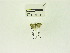  ( - USNM ENT 00669393)  @12 [ ] Unspecified (default): All Rights Reserved  Unspecified Unspecified