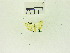  ( - USNM ENT 00703066)  @11 [ ] Unspecified (default): All Rights Reserved  Unspecified Unspecified