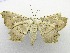  ( - USNMENT00703072)  @13 [ ] Unspecified (default): All Rights Reserved  Unspecified Unspecified