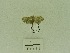  ( - USNM ENT 00662057)  @12 [ ] Unspecified (default): All Rights Reserved  Unspecified Unspecified