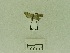  ( - USNM ENT 00662099)  @12 [ ] Unspecified (default): All Rights Reserved  Unspecified Unspecified