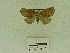  ( - USNM ENT 00664278)  @12 [ ] Unspecified (default): All Rights Reserved  Unspecified Unspecified