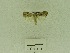  ( - USNM ENT 00666511)  @12 [ ] Unspecified (default): All Rights Reserved  Unspecified Unspecified