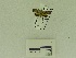  ( - USNM ENT 00666544)  @12 [ ] Unspecified (default): All Rights Reserved  Unspecified Unspecified