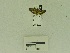  ( - USNM ENT 00666552)  @12 [ ] Unspecified (default): All Rights Reserved  Unspecified Unspecified