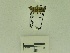  ( - USNM ENT 00666564)  @12 [ ] Unspecified (default): All Rights Reserved  Unspecified Unspecified