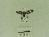  ( - USNM ENT 00666572)  @12 [ ] Unspecified (default): All Rights Reserved  Unspecified Unspecified