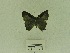  ( - USNM ENT 00666587)  @12 [ ] Unspecified (default): All Rights Reserved  Unspecified Unspecified
