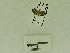  ( - USNM ENT 00666598)  @12 [ ] Unspecified (default): All Rights Reserved  Unspecified Unspecified