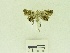  ( - USNM ENT 00667733)  @12 [ ] Unspecified (default): All Rights Reserved  Unspecified Unspecified