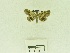  ( - USNM ENT 00667785)  @12 [ ] Unspecified (default): All Rights Reserved  Unspecified Unspecified