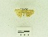  ( - USNM ENT 00667814)  @13 [ ] Unspecified (default): All Rights Reserved  Unspecified Unspecified