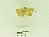  ( - USNM ENT 00667858)  @13 [ ] Unspecified (default): All Rights Reserved  Unspecified Unspecified