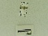  ( - USNM ENT 00667971)  @12 [ ] Unspecified (default): All Rights Reserved  Unspecified Unspecified