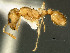  ( - SAM-HYM-C010992d)  @11 [ ] Copyright (2012) Nokuthula Mbanyana Iziko Museums of Cape Town
